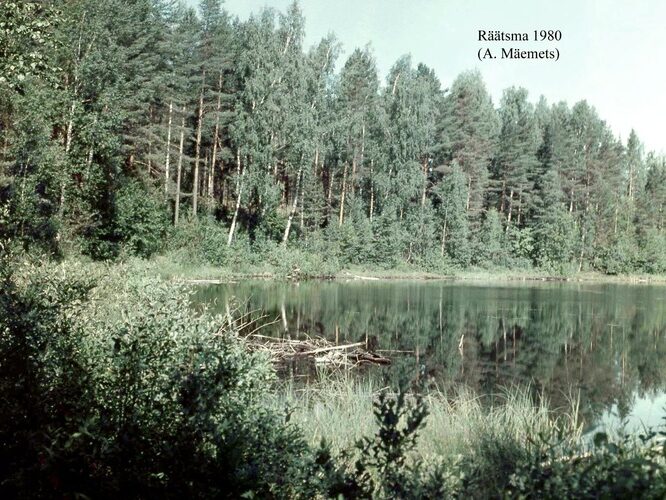 Maakond: Ida-Virumaa Veekogu nimi: Räätsma järv Pildistamise aeg: 1980 Pildistaja: A. Mäemets Pildistamise koht: teadmata Asimuut: