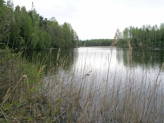 Maakond: Ida-Virumaa Veekogu nimi: Räätsma järv Pildistamise aeg: 21. mai 2003 Pildistaja: H. Timm Pildistamise koht: teadmata Asimuut: