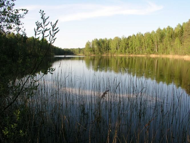 Maakond: Ida-Virumaa Veekogu nimi: Räätsma järv Pildistamise aeg: 23. mai 2006 Pildistaja: H. Timm Pildistamise koht: teadmata Asimuut: