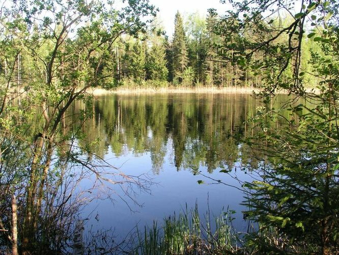 Maakond: Ida-Virumaa Veekogu nimi: Räätsma järv Pildistamise aeg: 23. mai 2006 Pildistaja: H. Timm Pildistamise koht: teadmata Asimuut: