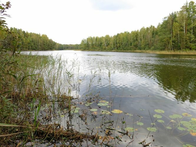 Maakond: Ida-Virumaa Veekogu nimi: Räätsma järv Pildistamise aeg: 24. september 2014 Pildistaja: H. Timm Pildistamise koht: teadmata Asimuut: