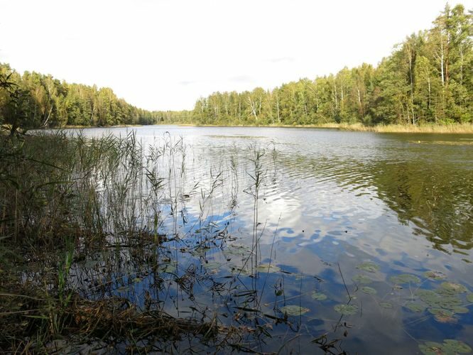 Maakond: Ida-Virumaa Veekogu nimi: Räätsma järv Pildistamise aeg: 24. september 2014 Pildistaja: H. Timm Pildistamise koht: teadmata Asimuut: