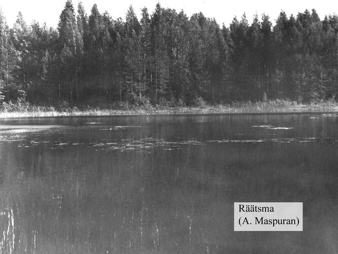 Maakond: Ida-Virumaa Veekogu nimi: Räätsma järv Pildistamise aeg: teadmata Pildistaja: A. Maspuran Pildistamise koht: teadmata Asimuut: