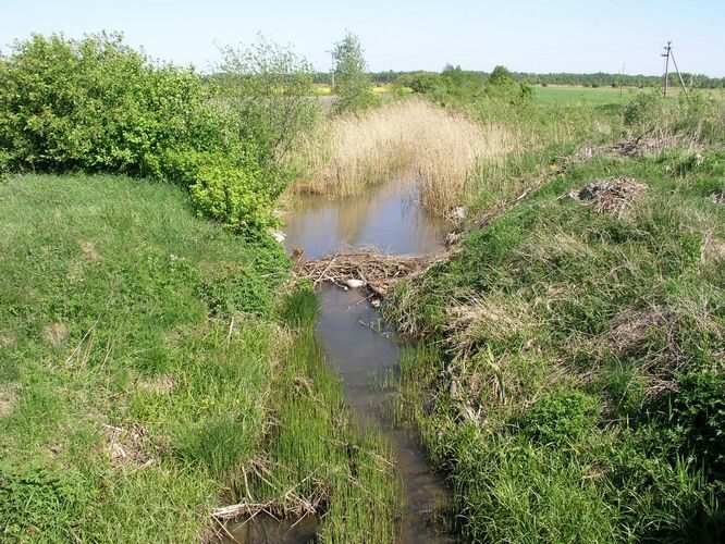 Maakond: Läänemaa Veekogu nimi: Rägina peakraav Pildistamise aeg: 24. mai 2008 Pildistaja: H. Timm Pildistamise koht: Lähtru Asimuut: