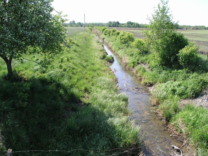 Maakond: Läänemaa Veekogu nimi: Rägina peakraav Pildistamise aeg: 24. mai 2008 Pildistaja: H. Timm Pildistamise koht: Lähtru Asimuut: