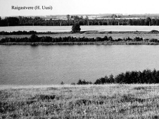 Maakond: Jõgevamaa Veekogu nimi: Raigastvere järv Pildistamise aeg: teadmata Pildistaja: H. Uusi (Eesti Looduse arhiiv) Pildistamise koht: teadmata Asimuut: