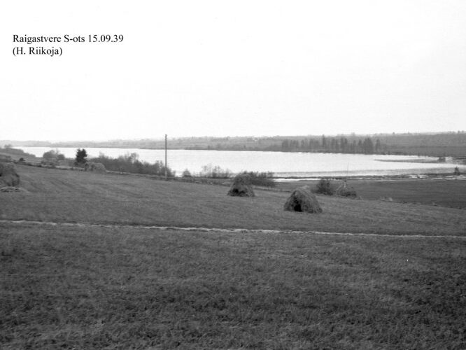 Maakond: Jõgevamaa Veekogu nimi: Raigastvere järv Pildistamise aeg: 15. september 1939 Pildistaja: H. Riikoja Pildistamise koht: SE ots Asimuut: NNE