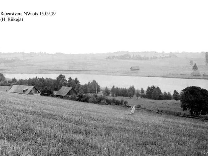 Maakond: Jõgevamaa Veekogu nimi: Raigastvere järv Pildistamise aeg: 15. september 1939 Pildistaja: H. Riikoja Pildistamise koht: NW ots Asimuut: