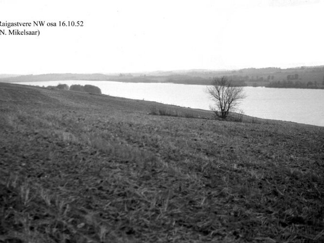 Maakond: Jõgevamaa Veekogu nimi: Raigastvere järv Pildistamise aeg: 16. oktoober 1952 Pildistaja: N. Mikelsaar Pildistamise koht: NW osa Asimuut: