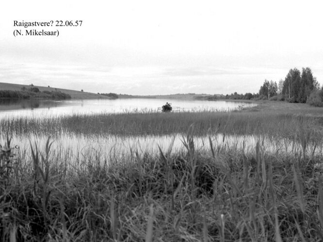 Maakond: Jõgevamaa Veekogu nimi: Raigastvere järv Pildistamise aeg: 22. juuni 1957 Pildistaja: N. Mikelsaar Pildistamise koht: SE otsast Asimuut: