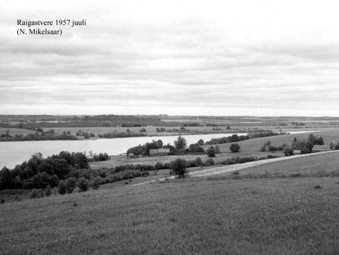 Maakond: Jõgevamaa Veekogu nimi: Raigastvere järv Pildistamise aeg: juuli 1957 Pildistaja: N. Mikelsaar Pildistamise koht: teadmata Asimuut: