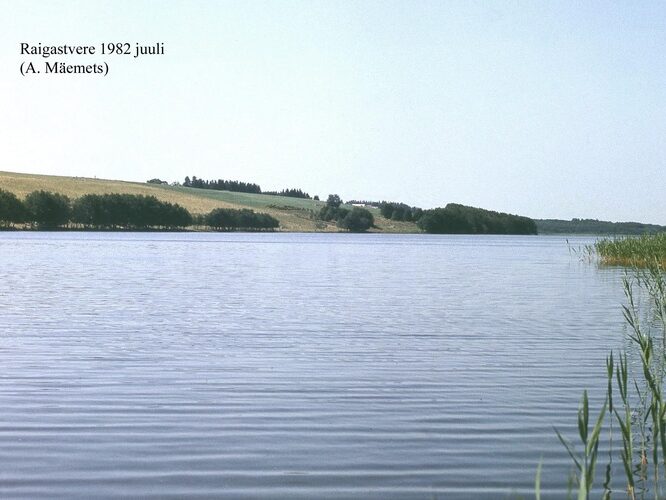 Maakond: Jõgevamaa Veekogu nimi: Raigastvere järv Pildistamise aeg: juuli 1982 Pildistaja: A. Mäemets Pildistamise koht: teadmata Asimuut: