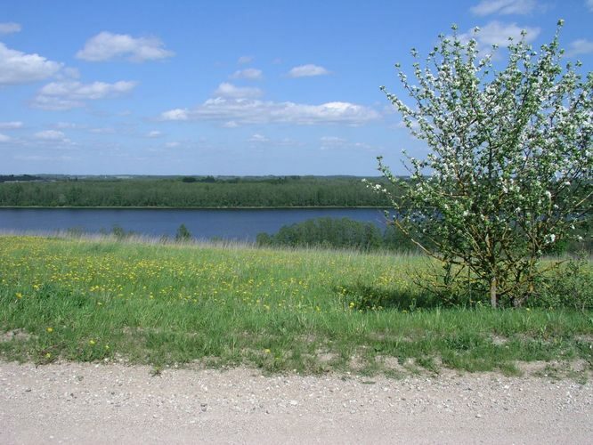 Maakond: Jõgevamaa Veekogu nimi: Raigastvere järv Pildistamise aeg: 24. mai 2007 Pildistaja: H. Timm Pildistamise koht: teadmata Asimuut: