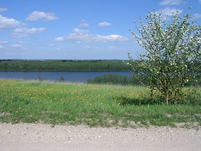 Maakond: Jõgevamaa Veekogu nimi: Raigastvere järv Pildistamise aeg: 24. mai 2007 Pildistaja: H. Timm Pildistamise koht: teadmata Asimuut: