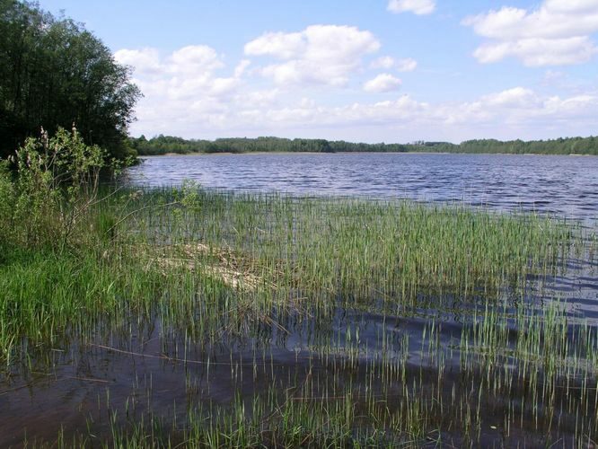 Maakond: Jõgevamaa Veekogu nimi: Raigastvere järv Pildistamise aeg: 24. mai 2007 Pildistaja: H. Timm Pildistamise koht: teadmata Asimuut: