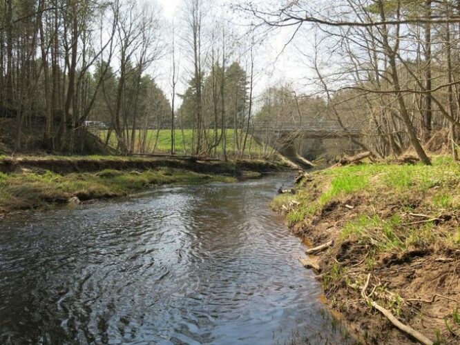 Maakond: Pärnumaa Veekogu nimi: Rannametsa jõgi Pildistamise aeg: 9. mai 2013 Pildistaja: H. Timm Pildistamise koht: teadmata Asimuut: