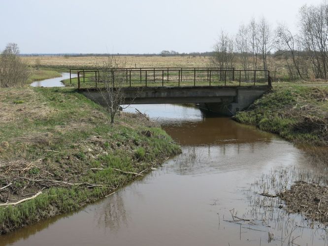 Maakond: Läänemaa Veekogu nimi: Rannamõisa jõgi Pildistamise aeg: 11. mai 2013 Pildistaja: H. Timm Pildistamise koht: teadmata Asimuut: