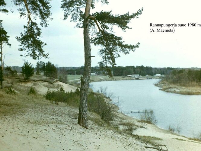 Maakond: Ida-Virumaa Veekogu nimi: Rannapungerja jõgi Pildistamise aeg: mai 1980 Pildistaja: A. Mäemets Pildistamise koht: suudmest N Asimuut: N