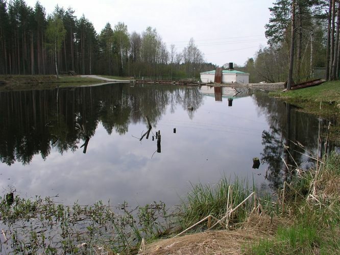 Maakond: Ida-Virumaa Veekogu nimi: Rannapungerja jõgi Pildistamise aeg: 7. mai 2009 Pildistaja: H. Timm Pildistamise koht: Tudulinna pais Asimuut: