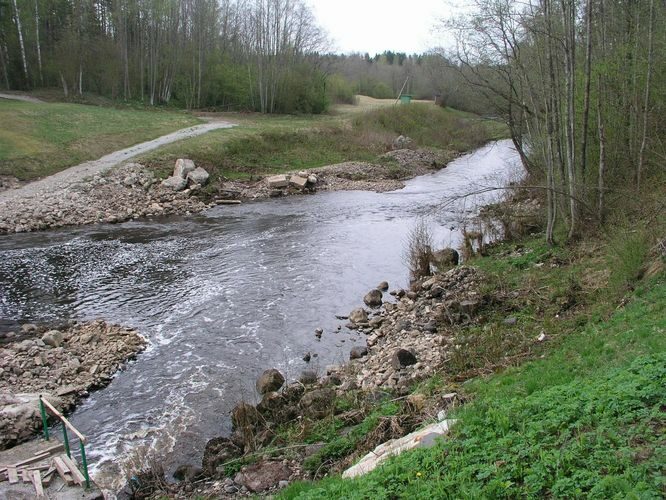 Maakond: Ida-Virumaa Veekogu nimi: Rannapungerja jõgi Pildistamise aeg: 7. mai 2009 Pildistaja: H. Timm Pildistamise koht: Tudulinna paisu all Asimuut: