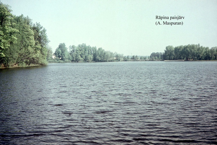 Maakond: Põlvamaa Veekogu nimi: Räpina paisjärv Pildistamise aeg: teadmata Pildistaja: A. Maspuran Pildistamise koht: teadmata Asimuut: