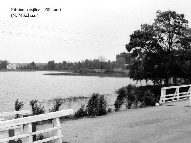 Maakond: Põlvamaa Veekogu nimi: Räpina paisjärv Pildistamise aeg: juuni 1958 Pildistaja: N. Mikelsaar Pildistamise koht: teadmata Asimuut:Maakond: Põlvamaa Veekogu nimi: Räpina paisjärv Pildistamise aeg: juuni 1958 Pildistaja: N. Mikelsaar Pildistamise koht: teadmata Asimuut: