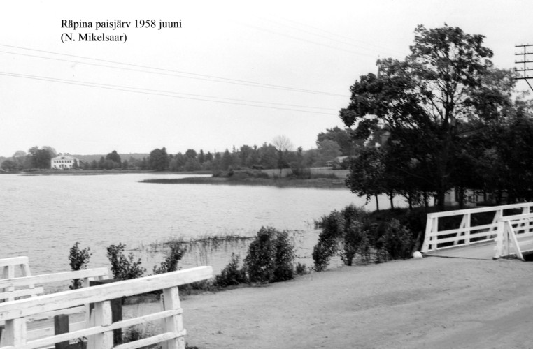 Maakond: Põlvamaa Veekogu nimi: Räpina paisjärv Pildistamise aeg: juuni 1958 Pildistaja: N. Mikelsaar Pildistamise koht: teadmata Asimuut:Maakond: Põlvamaa Veekogu nimi: Räpina paisjärv Pildistamise aeg: juuni 1958 Pildistaja: N. Mikelsaar Pildistamise koht: teadmata Asimuut: