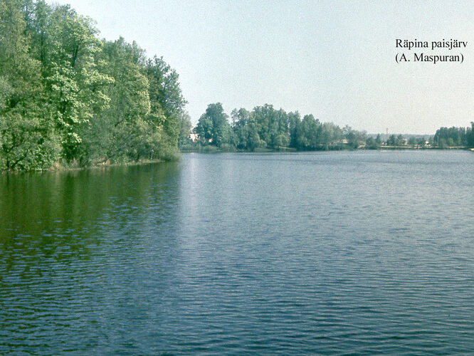 Maakond: Põlvamaa Veekogu nimi: Räpina paisjärv Pildistamise aeg: teadmata Pildistaja: A. Maspuran Pildistamise koht: teadmata Asimuut: