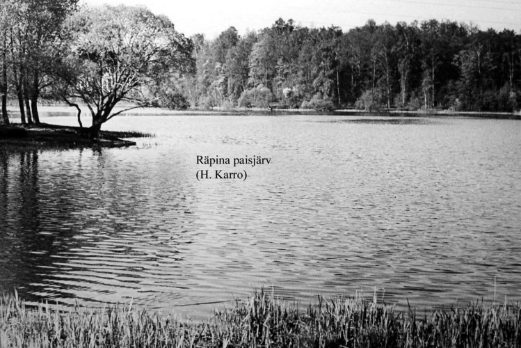 Maakond: Põlvamaa Veekogu nimi: Räpina paisjärv Pildistamise aeg: teadmata Pildistaja: H. Karro (Eesti Looduse arhiiv) Pildistamise koht: teadmata Asimuut: