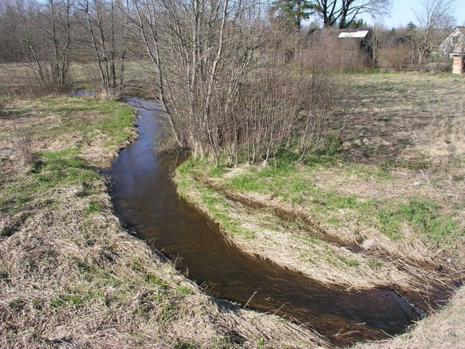 Maakond: Järvamaa Veekogu nimi: Räpu jõgi Pildistamise aeg: 27. aprill 2004 Pildistaja: H. Timm Pildistamise koht: Koksvere Asimuut: