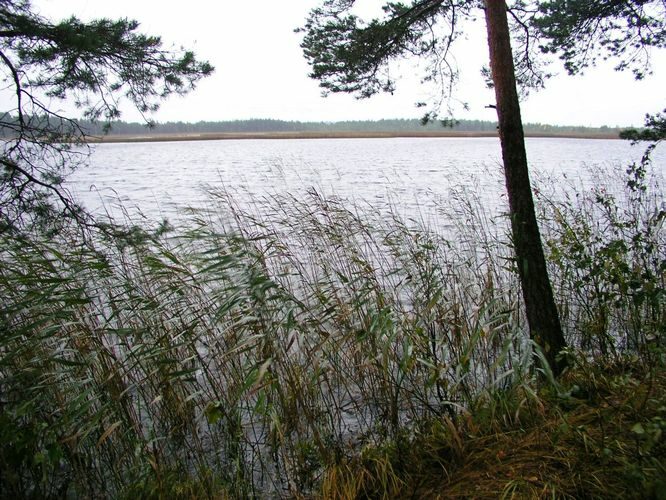 Maakond: Ida-Virumaa Veekogu nimi: Ratva järv Pildistamise aeg: 7. oktoober 2009 Pildistaja: H. Timm Pildistamise koht: teadmata Asimuut: