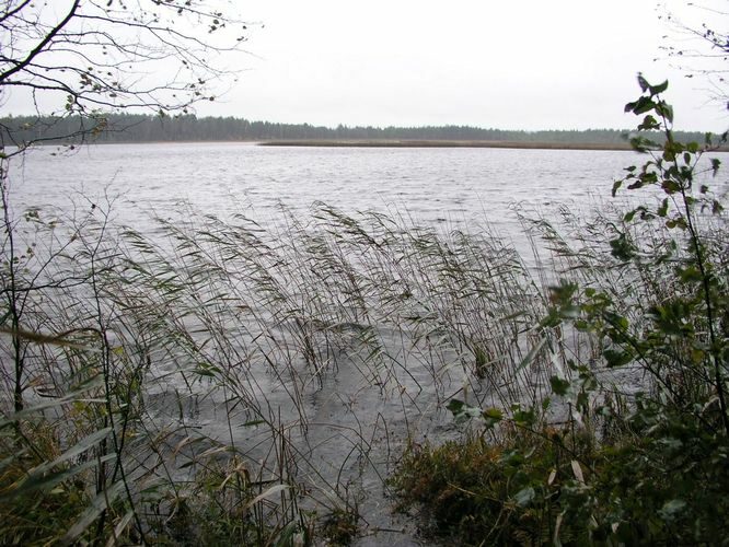 Maakond: Ida-Virumaa Veekogu nimi: Ratva järv Pildistamise aeg: 7. oktoober 2009 Pildistaja: H. Timm Pildistamise koht: teadmata Asimuut: