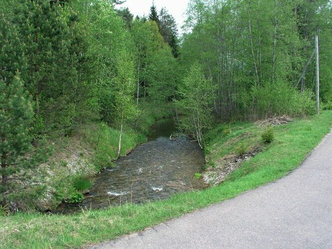 Maakond: Ida-Virumaa Veekogu nimi: Raudi kanal Pildistamise aeg: 22. mai 2006 Pildistaja: H. Timm Pildistamise koht: teelt, enne Nõmmejärve Asimuut: