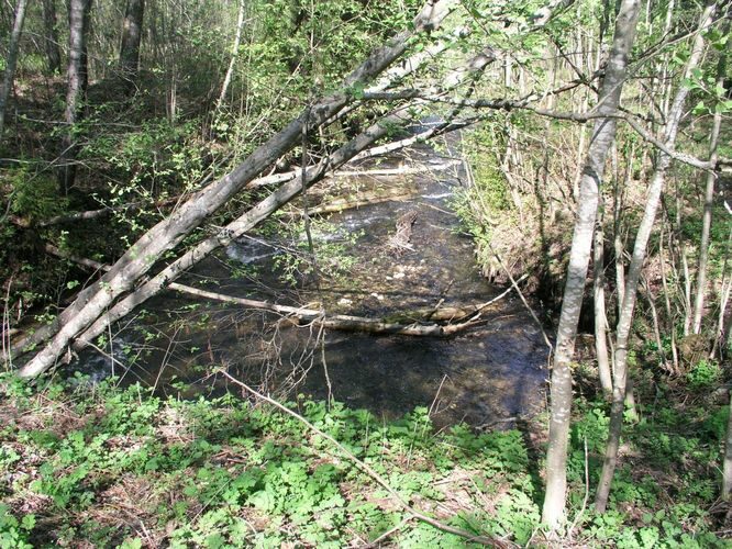 Maakond: Ida-Virumaa Veekogu nimi: Raudi kanal Pildistamise aeg: 22. mai 2006 Pildistaja: H. Timm Pildistamise koht: sillalt vv. allpool Nõmmejärve Asimuut: