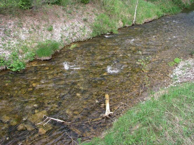 Maakond: Ida-Virumaa Veekogu nimi: Raudi kanal Pildistamise aeg: 22. mai 2006 Pildistaja: H. Timm Pildistamise koht: teelt, enne Nõmmejärve Asimuut: