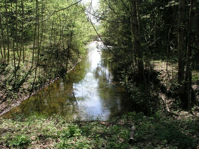 Maakond: Ida-Virumaa Veekogu nimi: Raudi kanal Pildistamise aeg: 22. mai 2006 Pildistaja: H. Timm Pildistamise koht: sillalt vv. allpool Nõmmejärve Asimuut: