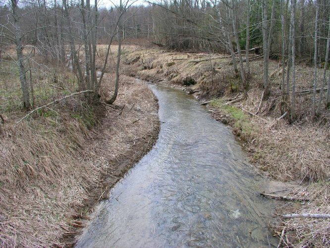 Maakond: Ida-Virumaa Veekogu nimi: Raudi kanal Pildistamise aeg: 23. aprill 2007 Pildistaja: H. Timm Pildistamise koht: Pagari teelt Asimuut: