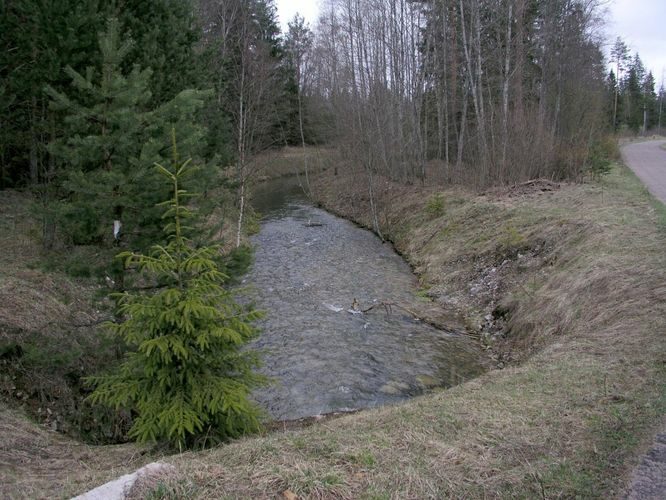 Maakond: Ida-Virumaa Veekogu nimi: Raudi kanal Pildistamise aeg: 23. aprill 2007 Pildistaja: H. Timm Pildistamise koht: Kurtna Asimuut: