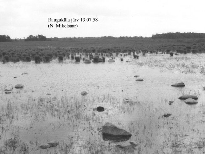 Maakond: Saaremaa Veekogu nimi: Rauguküla järv Pildistamise aeg: 13. juuli 1958 Pildistaja: N. Mikelsaar Pildistamise koht: teadmata Asimuut: