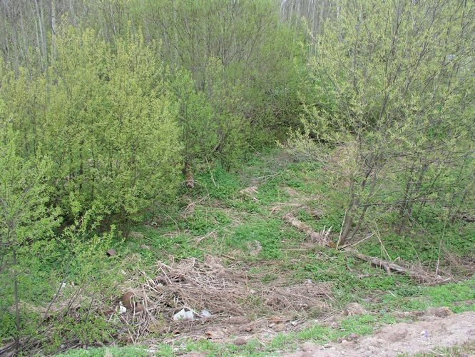 Maakond: Ida-Virumaa Veekogu nimi: Rausvere jõgi Pildistamise aeg: 6. mai 2009 Pildistaja: H. Timm Pildistamise koht: teadmata Asimuut: