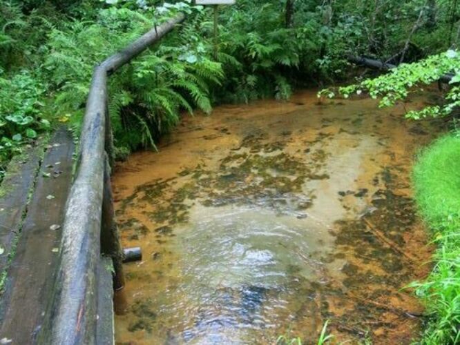 Maakond: Põlvamaa Veekogu nimi: Rebasmäe allikas Pildistamise aeg: 2. august 2013 Pildistaja: H. Timm Pildistamise koht: teadmata Asimuut: