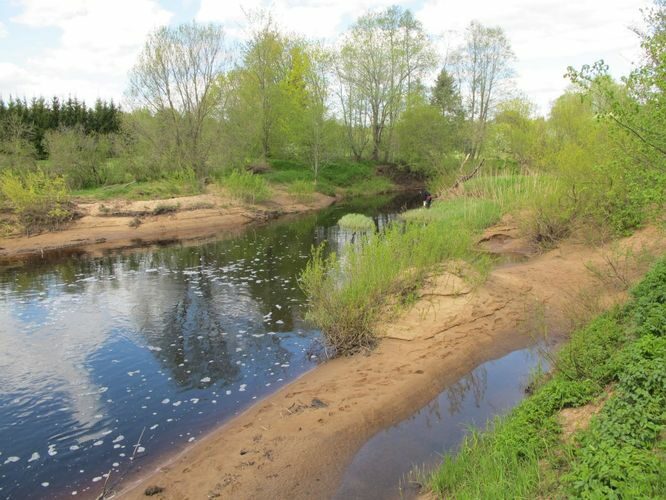 Maakond: Pärnumaa Veekogu nimi: Reiu jõgi Pildistamise aeg: 15. mai 2012 Pildistaja: H. Timm Pildistamise koht: Viisireiu Asimuut: