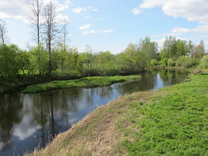 Maakond: Pärnumaa Veekogu nimi: Reiu jõgi Pildistamise aeg: 15. mai 2012 Pildistaja: H. Timm Pildistamise koht: Metsaääre Asimuut: