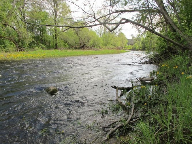 Maakond: Pärnumaa Veekogu nimi: Reiu jõgi Pildistamise aeg: 15. mai 2012 Pildistaja: H. Timm Pildistamise koht: Laadi Asimuut: