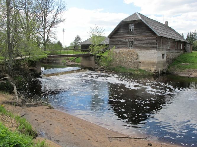 Maakond: Pärnumaa Veekogu nimi: Reiu jõgi Pildistamise aeg: 15. mai 2012 Pildistaja: H. Timm Pildistamise koht: Viisireiu Asimuut: