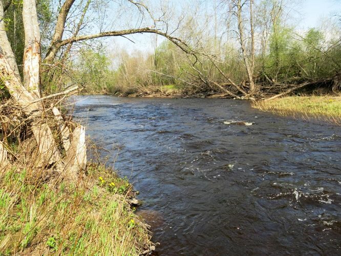 Maakond: Pärnumaa Veekogu nimi: Reiu jõgi Pildistamise aeg: 9. mai 2013 Pildistaja: H. Timm Pildistamise koht: Laadi Asimuut: