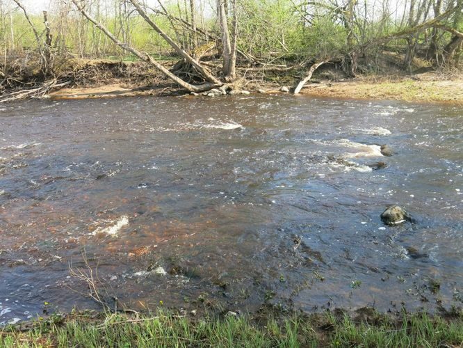 Maakond: Pärnumaa Veekogu nimi: Reiu jõgi Pildistamise aeg: 9. mai 2013 Pildistaja: H. Timm Pildistamise koht: Laadi Asimuut: