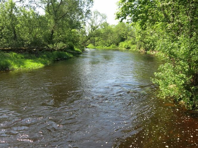 Maakond: Pärnumaa Veekogu nimi: Reiu jõgi Pildistamise aeg: 24. mai 2014 Pildistaja: H. Timm Pildistamise koht: Laadi Asimuut: