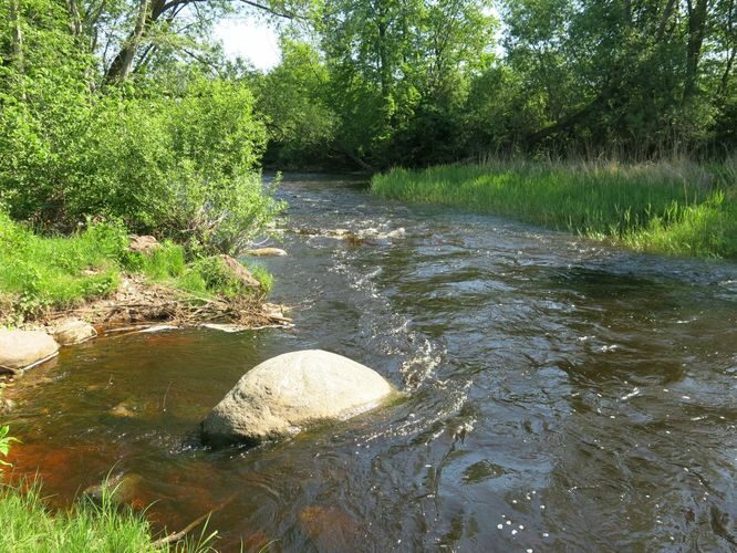 Maakond: Pärnumaa Veekogu nimi: Reiu jõgi Pildistamise aeg: 24. mai 2014 Pildistaja: H. Timm Pildistamise koht: Laadi Asimuut: