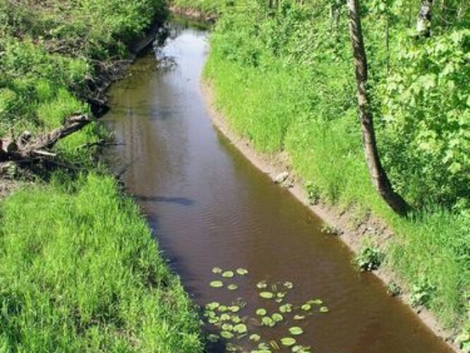 Maakond: Pärnumaa Veekogu nimi: Ridalepa oja Pildistamise aeg: 28. mai 2009 Pildistaja: H. Timm Pildistamise koht: teadmata Asimuut: